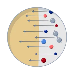 Migration of food contact chemicals into foodstuffs