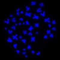 Salk Institute Science Image