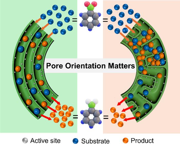 Shedding light on the effect of pore orientation on hydrogenation over carbon-supported single-atom catalysts