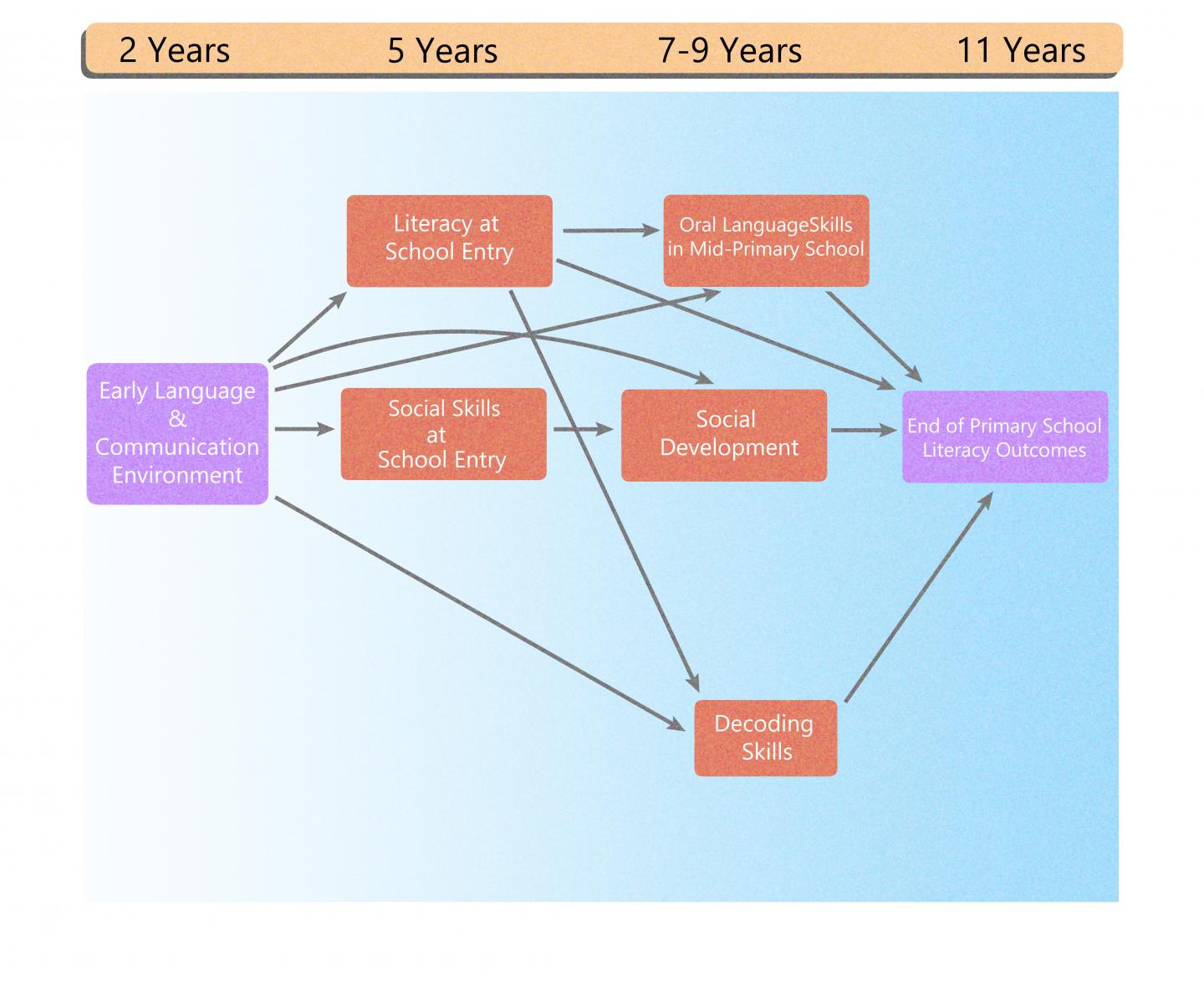 Key learning pathways