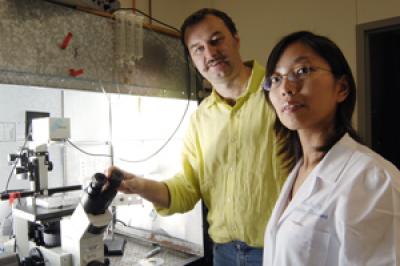 Dr. Ilya Bezprozvanny and Dr. Jun Wu