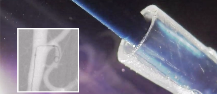 Catheter and test in pigs