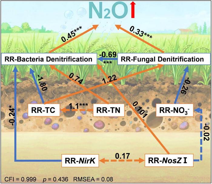Structural equation models illustrating the direct and indirect effects of selected variables on response ratios of RR-N2O.