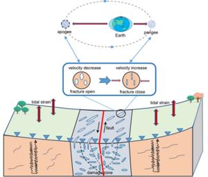 USTC Reveals How Tidal Forces Affect Seismic Wave Speed Within Fault Zone