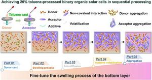 Achieving 20% Toluene-Processed Binary Organic Solar Cells via Secondary Regulation of Donor Aggregation in Sequential Processing