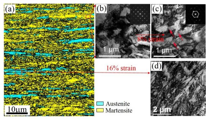 <i>Science</i> Publishes Super Steel Breakthrough