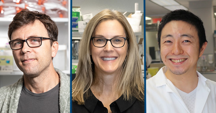 Adriana Di Polo (center), a CRCHUM researcher, professor at Universite de Montreal and holder of a Canada Research Chair in glaucoma and age-related neurodegeneration, with Luis Alarcon-Martinez (left) and Yukihiro Shiga (right), members of Di Polo's lab and the study's first co-authors