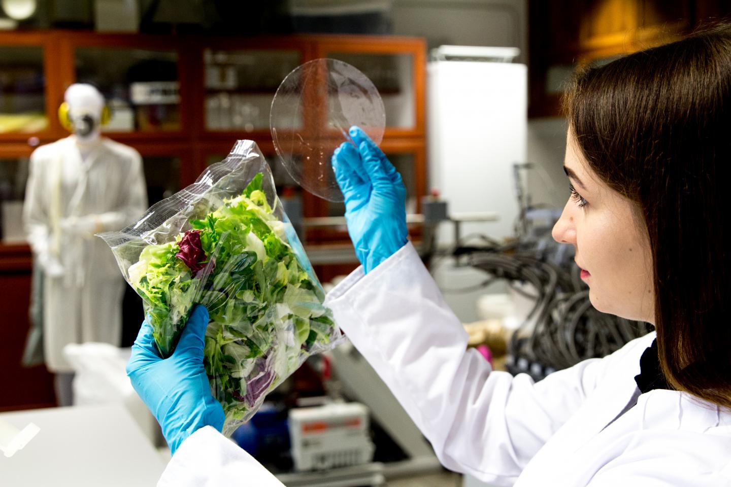 Antimicrobial Biodegradable Packages Keep Food Fresh