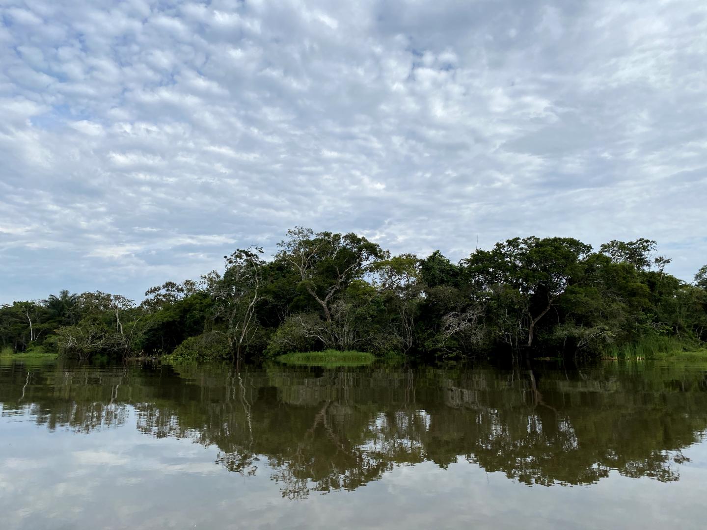 Peruvian Amazonia