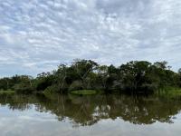 Peruvian Amazonia