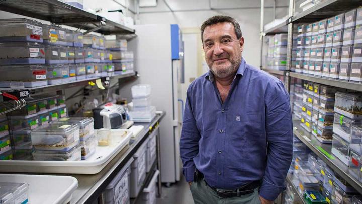 Internationally Renowned Researcher from NYU Langone Medical Center Elected to the National Academy of Sciences