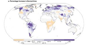 Wildfire change