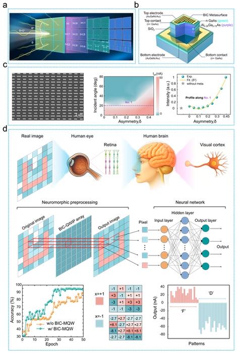 Figure | Architecture design, nanofabrication, and optoelectronic applications of the BIC-MQW processor.