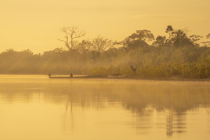 Beni Biosphere Reserve
