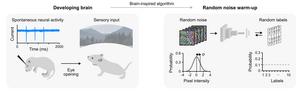 KAIST: AI Learns to Say “I’m Not Sure” … Reducing Overconfidence and Improving Reliability​