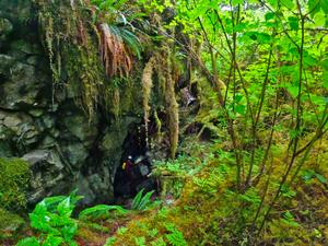 Prince of Wales Island (Alaska)