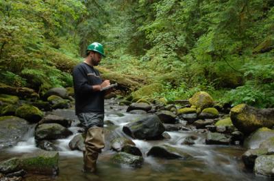 Mack Creek Stream Survey