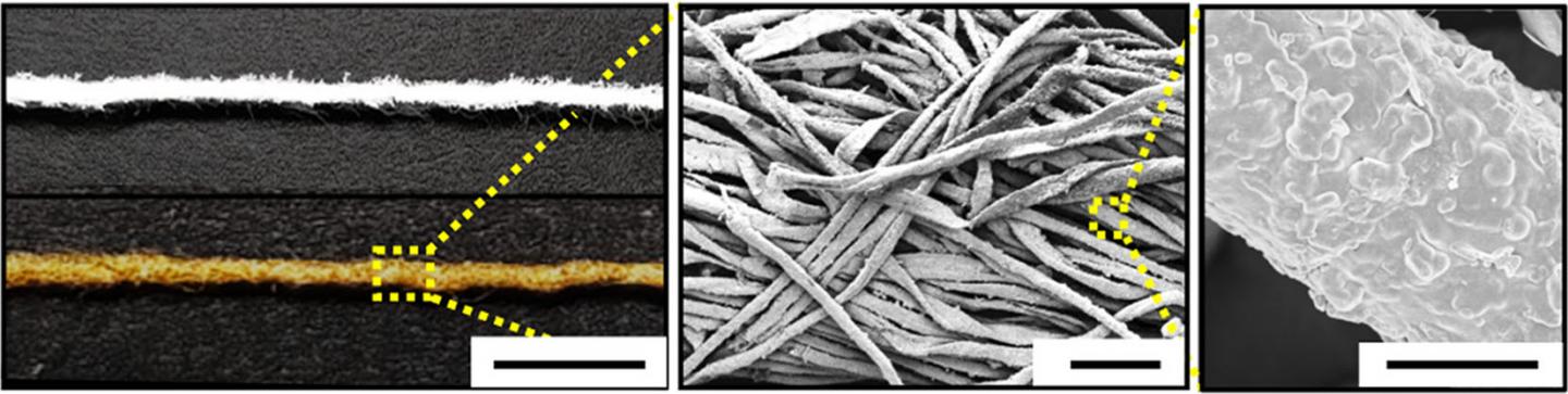 Cotton-Based Gold Electrode