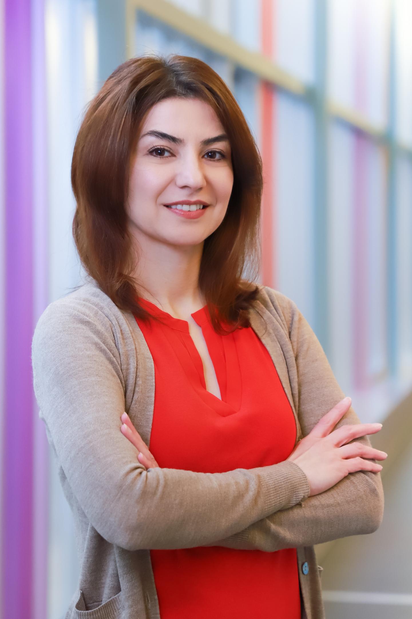 Hamideh Bayrampour