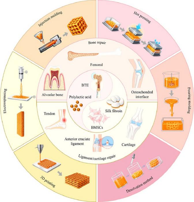 Silk Fibroin-PLA Scaffolds Offer a Balanced Route for Bone Regeneration