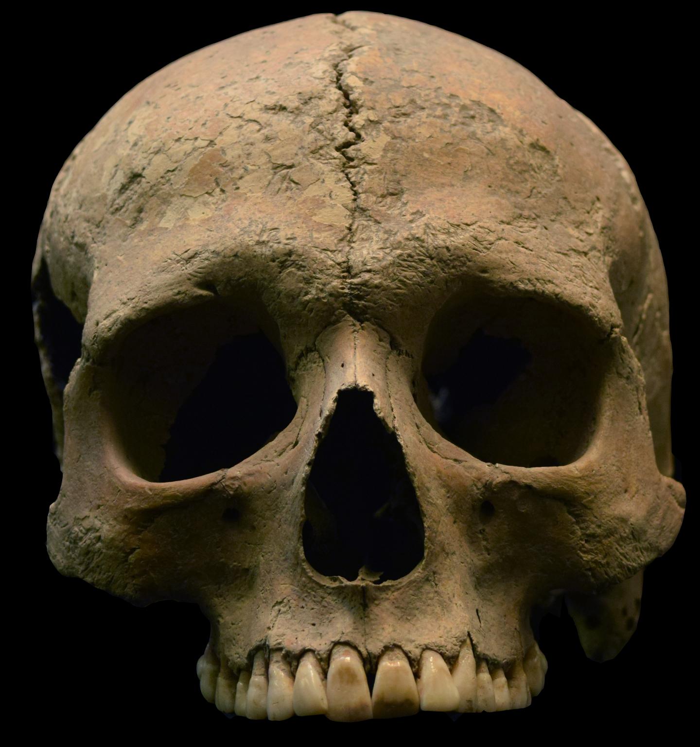 Researchers Find Overwhelming Evidence Malaria Existed 2,000 Years Ago