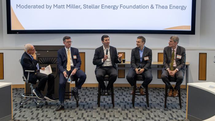Matt Miller, Stellar Energy Foundation/Thea Energy (moderator); Andrew Holland, Fusion Industry Association; Tim Sullivan, New Jersey Economic Development Authority; Duncan Turner, SOSV/HAX; and Steve Cowley, Princeton Plasma Physics Lab.