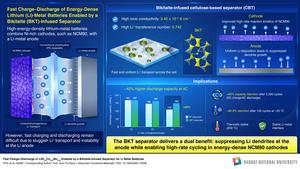 Hanbat University researchers develop a separator to improve
lithium-metal battery performance