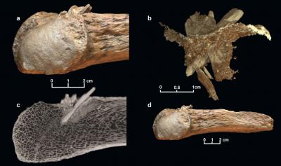 Tracing the First North American Hunters (1 of 3)