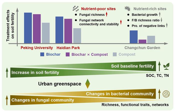 Fungi enhance biochar and compost effects on carbon accrual in nutrient-deficient urban greenspace soils