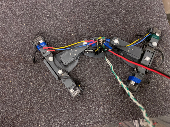 Lizard robot