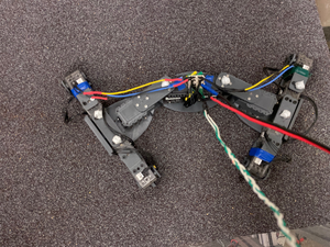 Lizard robot
