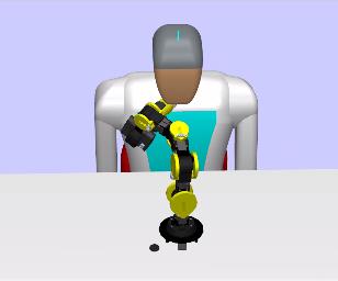 Tele-Robotic Ultrasound Graphic