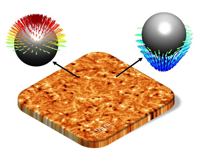 antiferromagnetische Meronen und Antimeronen