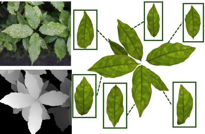 Fig. 2