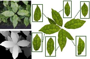 Fig. 2