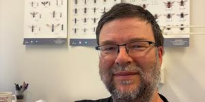 Norway's foremost bee expert