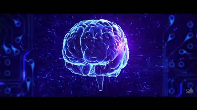 Ensuring Good Cellular Connections in the Brain