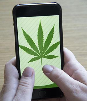 Tweeting about Marijuana