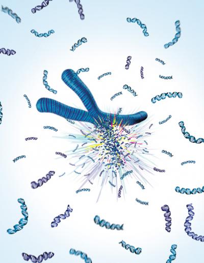 Exploding Chromosome