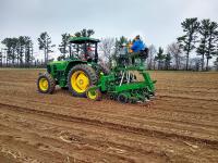 Planting plot