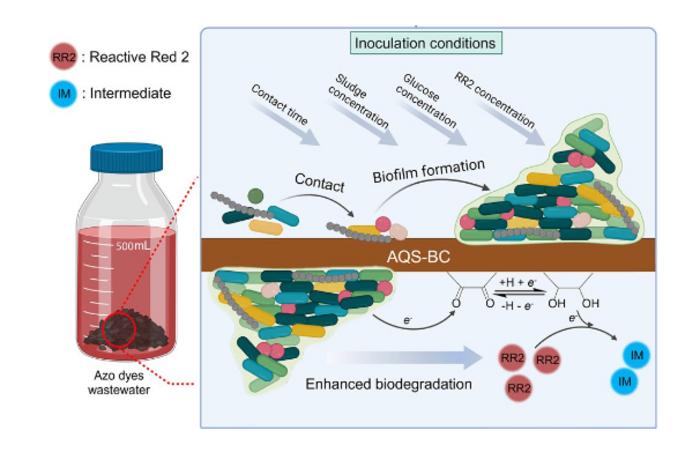 Enhancement of the anaerobic biodegradation efficiency of azo dye by anthraquinone-loaded biochar biofilm: factors affecting biofilm formation and the enhancement mechanism