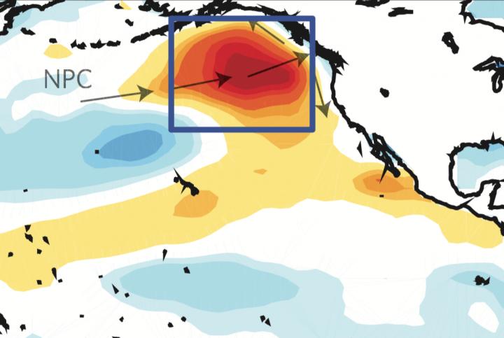 Early Stages of North Pacific 