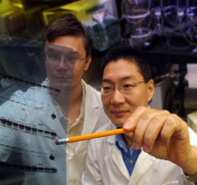 Drs. Yunchao Su and Dmitry Kondrikov, Medical College of Georgia