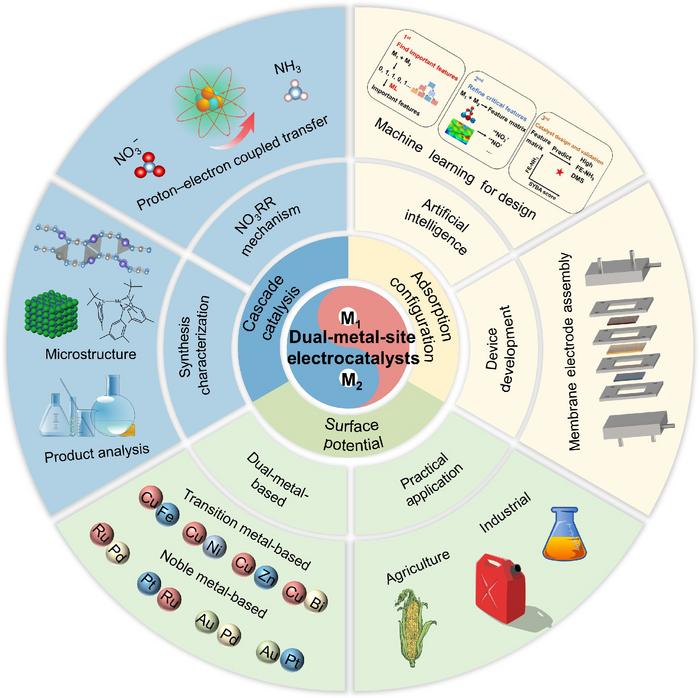 Schematic illustration of the structures, advantages, and applications of DMS electrocatalysts toward NO3RR for ammonia synthesis.
