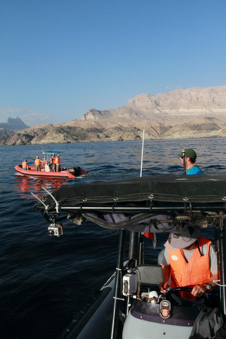 Whale monitoring