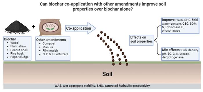 Soil health response to biochar combined with other amendments: a review