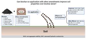 Soil health response to biochar combined with other amendments: a review