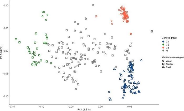 Projection of the 318 genotypes from WOGBM on the first two principal components (PC) of a PC analysis based on 235 825 SNPs.