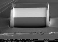 Scanning Electron Microscope Image