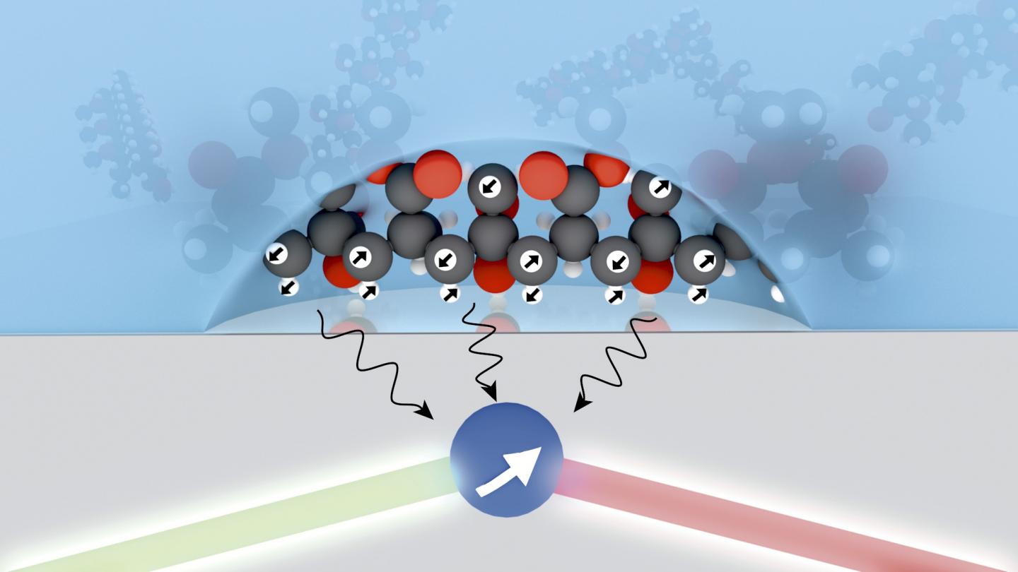 Nuclear Spin Detection Using a Diamond Quantum Probe